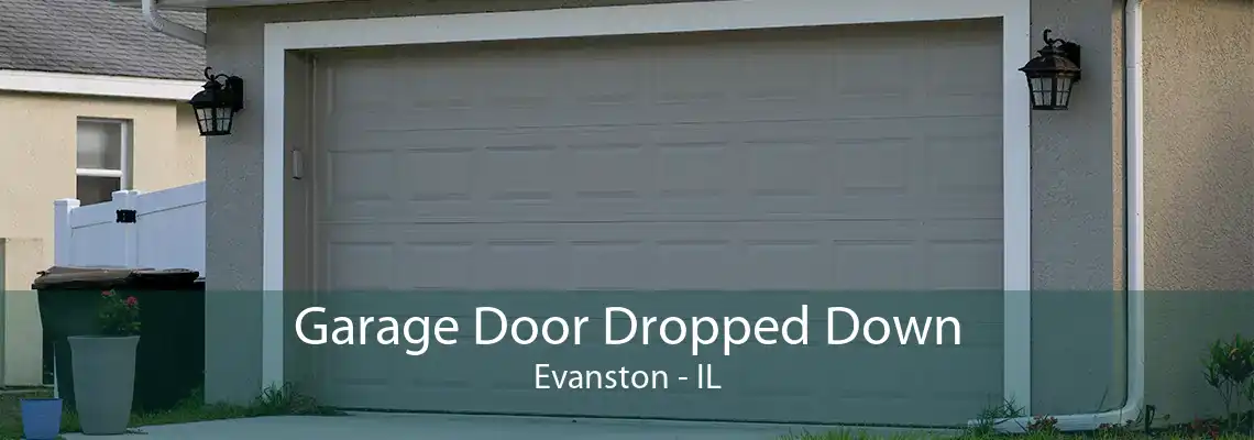 Garage Door Dropped Down Evanston - IL