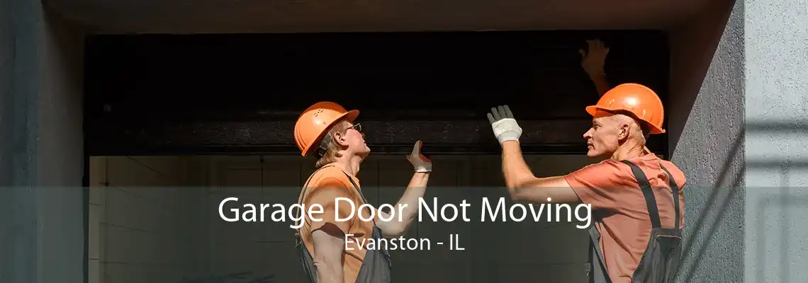 Garage Door Not Moving Evanston - IL