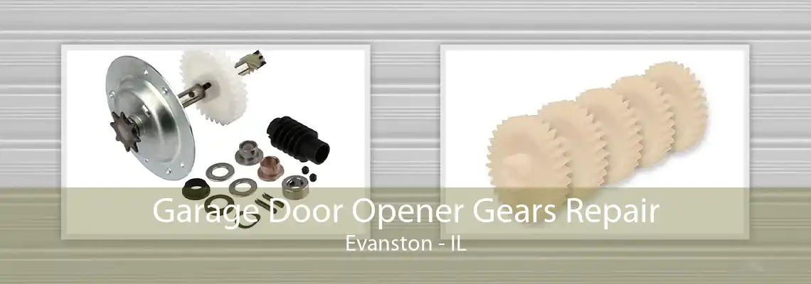 Garage Door Opener Gears Repair Evanston - IL