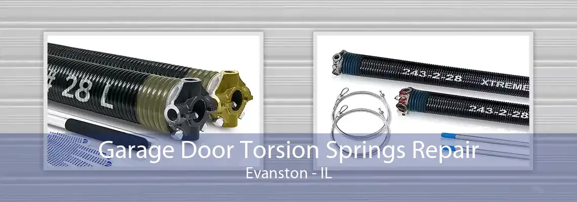 Garage Door Torsion Springs Repair Evanston - IL